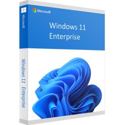 Microsoft Windows 11 Empresa