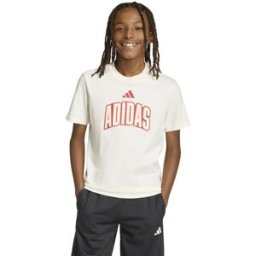 Adidas Camiseta de niños Stadium . (12 años) Blanco