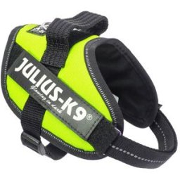 Julius Arnés para perros K9 IDC Powerharness. (Mini-Mini) Verde neón