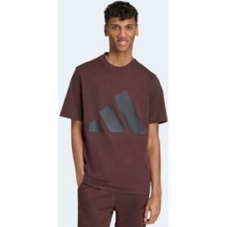 Adidas Camiseta de hombre Essentials Big Logo . (M) Marrón