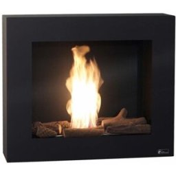 CLIMACITY Chimenea Bioetanol 1,5 kW Bestbio con Regulador de Llama 1,2 l. Negro