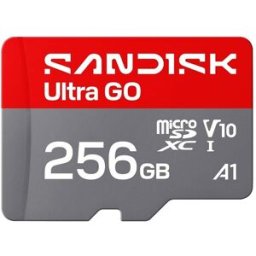 SanDisk Tarjeta de memoria MicroSDXC Ultra GO 256GB.