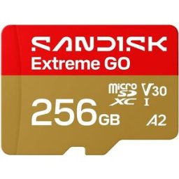 SanDisk Tarjeta de memoria MicroSDXC Extreme GO 256GB.