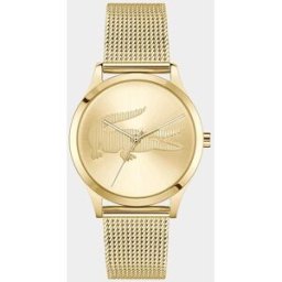 Lacoste Reloj de mujer Crocodelle 2001416 de acero dorado. Oro