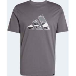 Adidas Camiseta de hombre Camo Logo . Gris