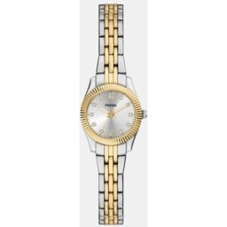 Fossil Reloj de mujer scarlette mini de acero inoxidable con tres agujas. Multicolor