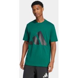 Adidas Camiseta de hombre Essentials Big Logo . (XL) Verde