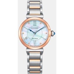 Citizen Reloj de mujer Lady EM1074-82D de acero bicolor. Plata