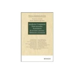 Edisofer S.l. Jurisdicción. Competencia. Partes procesales. Acumulación de acciones y procesos. Abstención y recusación
