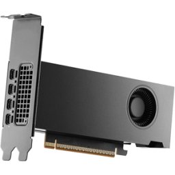 NVIDIA Tarjeta Gráfica RTX PRO 2000 Blackwell 16GB GDDR7