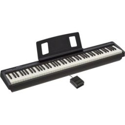 Roland FP-10 PIANO Teclado Premium + 96-Vozes + 36 Sonidos + Bluetooth TOP-SELLER Piano portátil