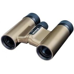 Prismático Vanguard Vesta Compact 10x21 Champagne