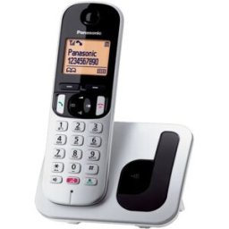 Teléfono inalámbrico Panasonic KX-TGC250SPS Plata