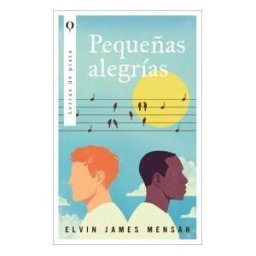 Plata Pequeñas Alegrías