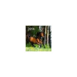 teNeues Calendario De Pared 2014