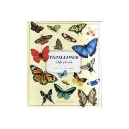 Mosquito Books Barcelona Papallones. Vida Secreta
