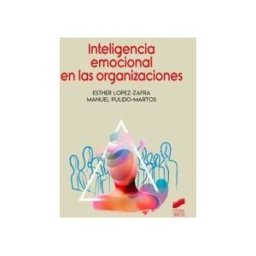 Sintesis Inteligencia Emocional De Las Organizaciones