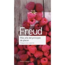AMORRORTU EDITORES Más Allá Del Principio De Placer