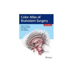 Thieme Medical Publishers Color Atlas Of Brainstem Surgery + Videos Online