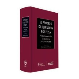 La Ley El Proceso De Ejecución Forzosa : Problemas Actuales Y Soluciones Jurisprudenciales