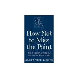 SHAMBHALA PUB How Not To Miss The Point: The Buddha's Wisdom For A Life Well Lived