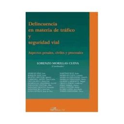Editorial Dykinson, S.L. Delincuencia En Materia De Tráfico Y Seguridad Vial