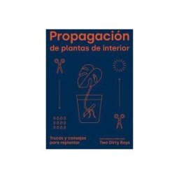 Cinco Tintas Propagación De Plantas De Interior