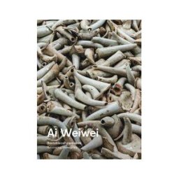 RM Verlag, S.L. Ai Weiwei: Restablecer Memorias / Resetting Memories