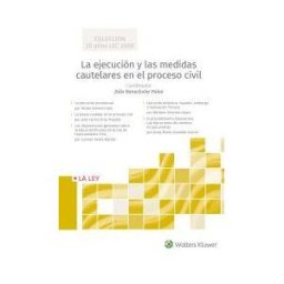 La Ley La Ejecución Y Las Medidas Cautelares En El Proceso Civil