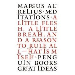 Penguin Books Ltd Great Ideas Meditations
