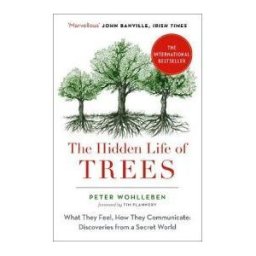 Harper Collins Paperbacks Hidden Life Of Trees