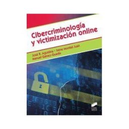 Sintesis Cibercriminología Y Victimización Online