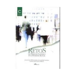 Editorial Dykinson, S.L. Retos Del Derecho Canónico En La Sociedad Actual