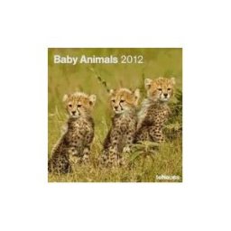 teNeues Calendario 2012. Baby Animals.