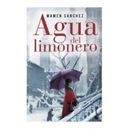 LOGISTICA S.A. Agua Del Limonero