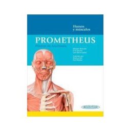 Editorial Médica Panamericana S.A. Prometheus. Póster De Anatomía