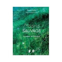 Casa de Velázquez Madrid Sauvage