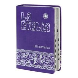 Editorial Verbo Divino La Biblia Latinoamérica [letra Grande] Simil-piel Morada, Canto Plateado, Con Uñeros