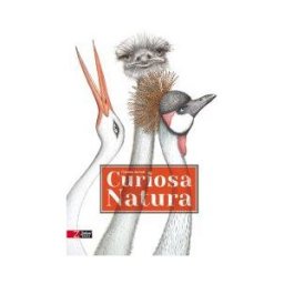 ZAHORI PACKAGED IDEAS Curiosa Natura