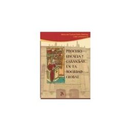 Atelier Libros S.A. Proceso, Eficacia Y Garantías En La Sociedad Global