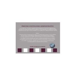 Editorial Dykinson, S.L. Esquemas Proceso Contencioso-administrativo
