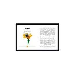 Catapulta Editores Lego Botanicals - Flores Silvestres