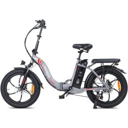 Fafrees F20 Bicicleta Eléctrica Motor 250W Batería 576Wh Autonomía 70km Gris
