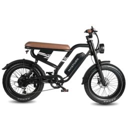 Bicicleta Eléctrica Maxturn Mx10 Motor 250W Batería 48V 13.5Ah Neumáticos 20