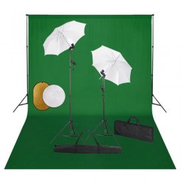 vidaXL Kit de Estudio Fotográfico 2 Focos + Fondo + Accesorios