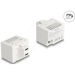 DELOCK 41479 - Módulo de carga Keystone, 2x USB tipo C™, PD 20 W, blanco