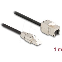 DELOCK 87206 - Cable Keystone enchufe RJ45 > toma, Cat.6a, 1 m