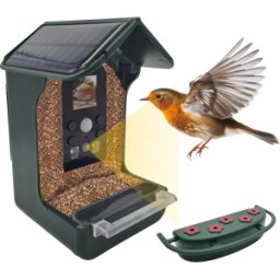 BERGER+SCHRÖTER BS 32416 - Cámara de vida silvestre, alimentador de pájaros, solar