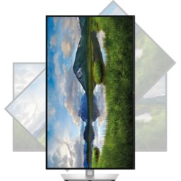 DELL P3225QE - Monitor de 80cm, 4K, USB-C, LAN, pivote