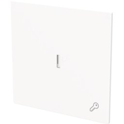 BUSCH-JAEGER BJ 1789 TR-44M - Interruptor basculante con símbolo "llave" con casquete t